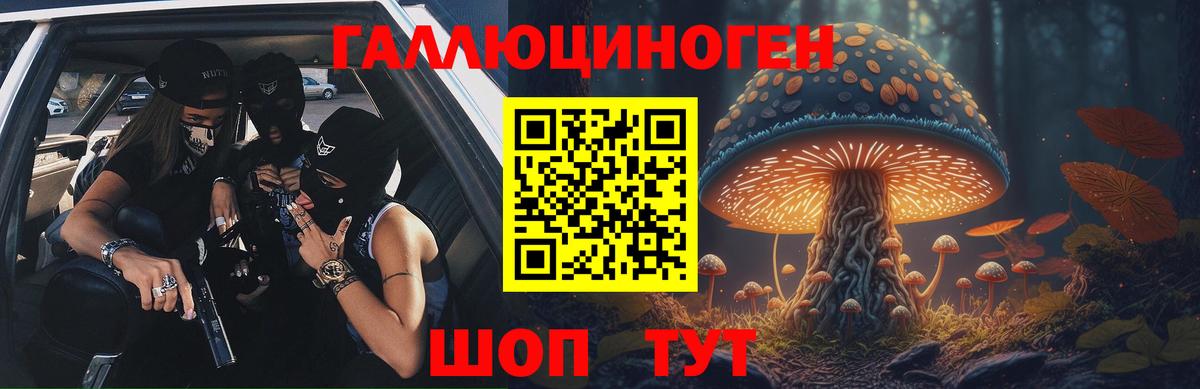Галлюциногенные грибы Cubensis  Вход с VPN  Семёнов 